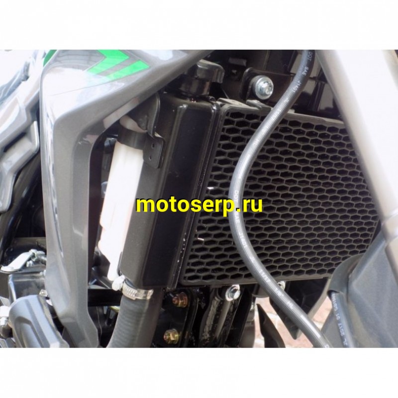 Купить  Мотоцикл REGULMOTO T-Leopard 300, 250cc, 4-хтакт., жидк. охлажд., диск/диск., 17"/17", аудиосистема (шт) купить с доставкой по Москве и России, цена, технические характеристики, комплектация фото  - motoserp.ru