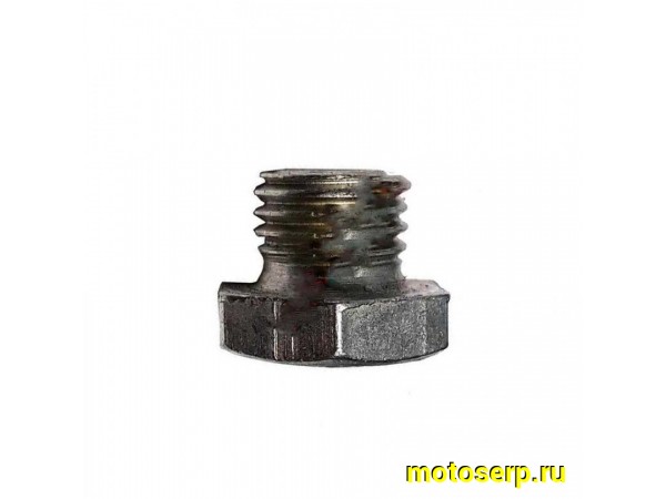 Купить  Пробка&nbsp;картера&nbsp;сливная&nbsp;Минск&nbsp;(105-17176)&nbsp;(ЗАВОД,&nbsp;г.Минск) (Мир 16851 купить с доставкой по Москве и России, цена, технические характеристики, комплектация фото  - motoserp.ru