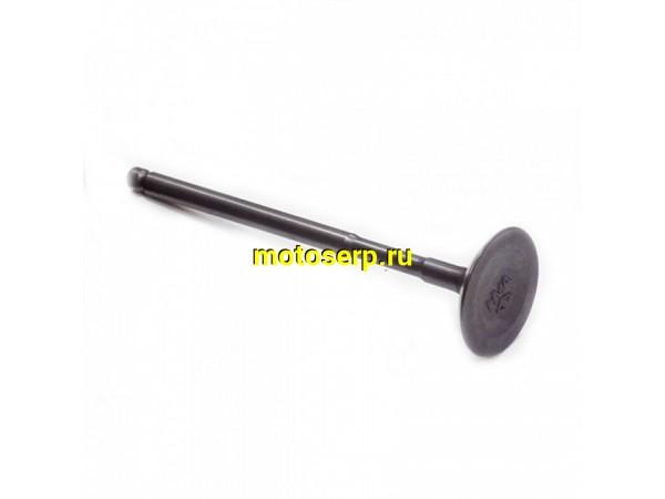 Купить  Клапан ATV300 VXL (впуск) (D-25.5mm, L-94mm, T-5mm) TW (шт)(0 купить с доставкой по Москве и России, цена, технические характеристики, комплектация фото  - motoserp.ru