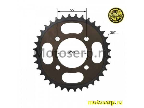 Купить  Звезда ведомая голая (венец) (428-36) (428-36T D-58mm, 4x55mm) сталь SM-PARTS (шт) (SM 687-9339 купить с доставкой по Москве и России, цена, технические характеристики, комплектация фото  - motoserp.ru