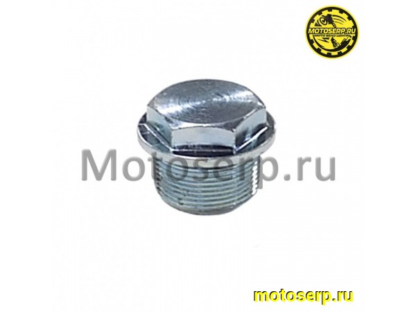 Купить  Болт левого картера двигателя ( M20 , L-19mm ) (под 19 ключ) ATV300 VXL (шт)  (0 купить с доставкой по Москве и России, цена, технические характеристики, комплектация фото  - motoserp.ru