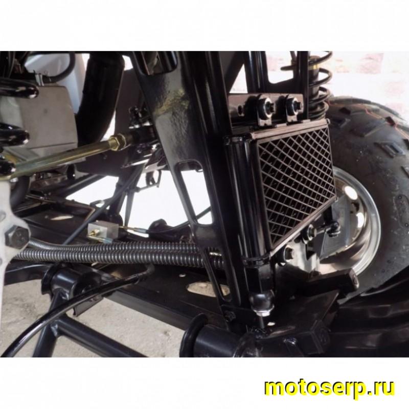 Купить  ====200cc Квадроцикл LINHAI YAMAHA D200 (Линхай Ямаха) КАРДАН, , 4х2, 200сс, утил., масл. радиат, автомат+рев, диск/диск,10"/10"(шт) (Li-Ya купить с доставкой по Москве и России, цена, технические характеристики, комплектация фото  - motoserp.ru