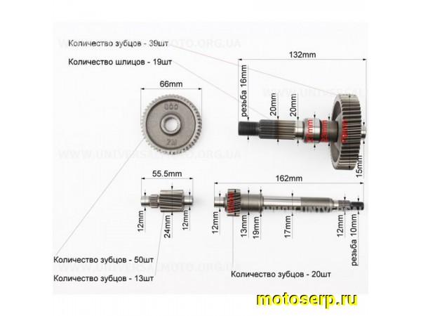 Купить  Шестерни редуктора HONDA LEAD (4 поз) (ком) (MT R-1072 купить с доставкой по Москве и России, цена, технические характеристики, комплектация фото  - motoserp.ru