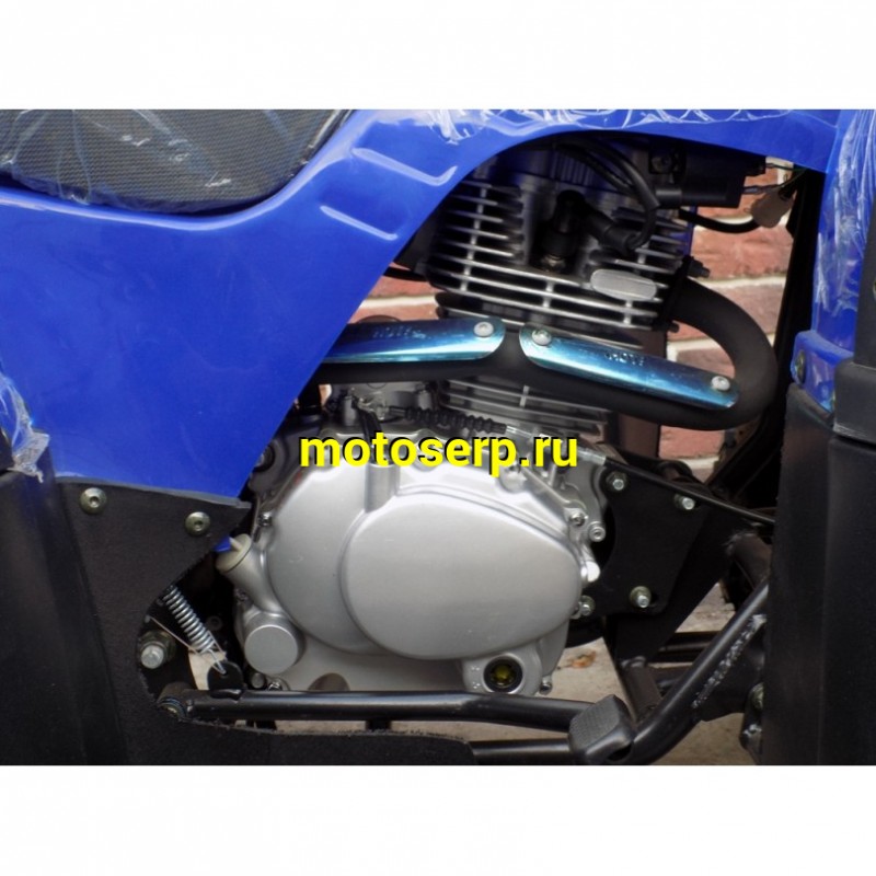 Купить  250cc Квадроцикл GRIZZLY 250 ЦЕПЬ (Гризли 250) 250сс, утил.,мех. КПП, возд.охл.,диск./диск, литые 10"/10", повороты, зеркала, спидом (шт) (Li-Ya купить с доставкой по Москве и России, цена, технические характеристики, комплектация фото  - motoserp.ru