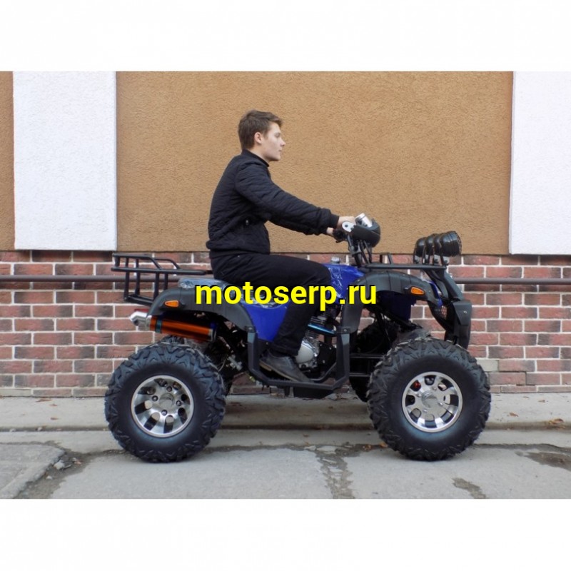 Купить  250cc Квадроцикл GRIZZLY 250 ЦЕПЬ (Гризли 250) 250сс, утил.,мех. КПП, возд.охл.,диск./диск, литые 10"/10", повороты, зеркала, спидом (шт) (Li-Ya купить с доставкой по Москве и России, цена, технические характеристики, комплектация фото  - motoserp.ru