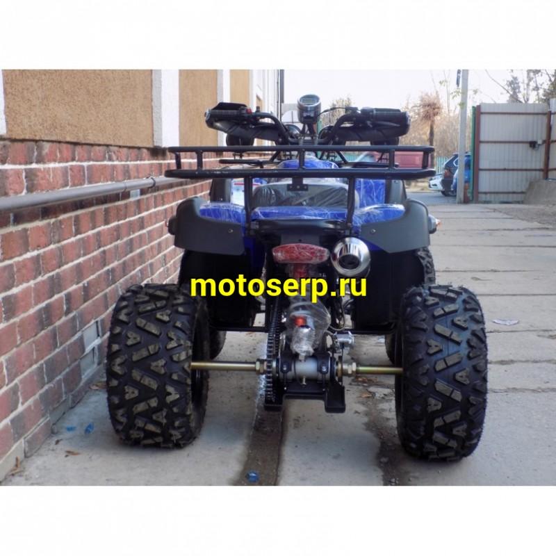 Купить  250cc Квадроцикл GRIZZLY 250 ЦЕПЬ (Гризли 250) 250сс, утил.,мех. КПП, возд.охл.,диск./диск, литые 10"/10", повороты, зеркала, спидом (шт) (Li-Ya купить с доставкой по Москве и России, цена, технические характеристики, комплектация фото  - motoserp.ru