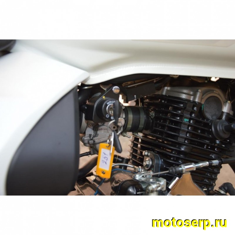 Купить  Мотоцикл BAJAJ Avenger 220 Cruise  4Т., 219.89 сс, 17"/15", возд.-масл. охлажд. (шт)  купить с доставкой по Москве и России, цена, технические характеристики, комплектация фото  - motoserp.ru