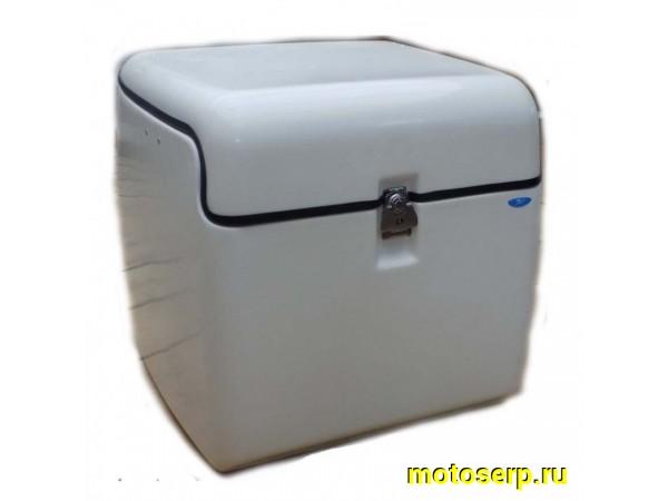 Купить  Кофр (ящик багажника) универсальный, для перевозки пиццы Белый (530x560x520) (шт) (0 купить с доставкой по Москве и России, цена, технические характеристики, комплектация фото  - motoserp.ru