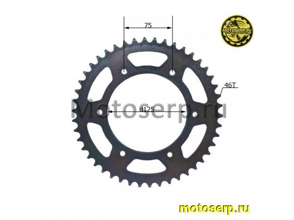 Купить  Звезда ведомая голая (венец) (520-46) (520-46T D-125mm, 6x75mm) Avantis Enduro 250 (шт) (AVANTIS 12986 купить с доставкой по Москве и России, цена, технические характеристики, комплектация фото  - motoserp.ru
