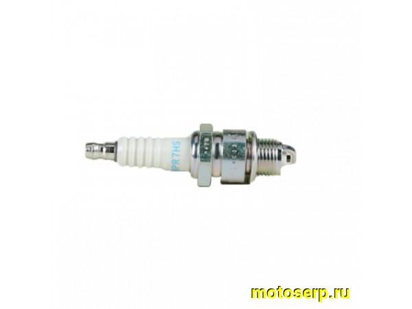 Купить  Свеча зажигания ( 7) NGK BR7HS (шт) (шт) (MOTO-SKUTER 13089 купить с доставкой по Москве и России, цена, технические характеристики, комплектация фото  - motoserp.ru