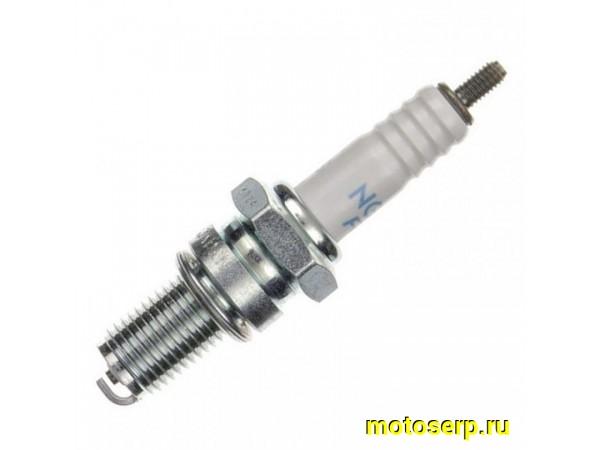 Купить  ====Свеча зажигания ( 8) NGK DR8ES (шт) (0	 купить с доставкой по Москве и России, цена, технические характеристики, комплектация фото  - motoserp.ru