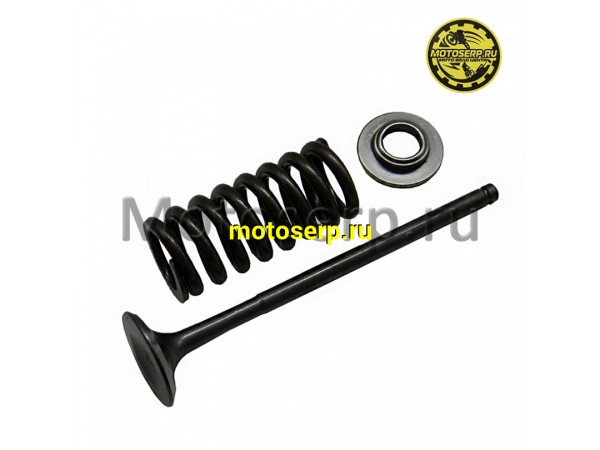 Купить  Клапан 169MM (выпуск) (D-24mm, L-100mm, T-5mm) ZS169MM  (комп) (шт)  (0 купить с доставкой по Москве и России, цена, технические характеристики, комплектация фото  - motoserp.ru