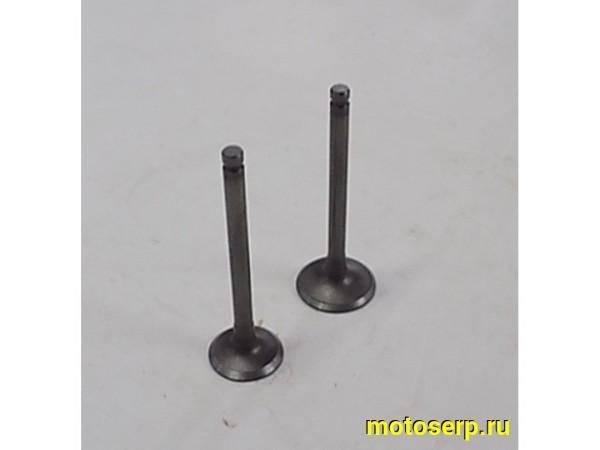 Купить  ====Клапан 139QMB (впуск/выпуск) D=20/23  L=62mm (пар) (0 купить с доставкой по Москве и России, цена, технические характеристики, комплектация фото  - motoserp.ru