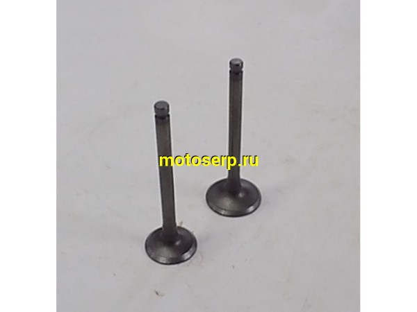 Купить  ====Клапан 139QMB (впуск/выпуск) D=20/23  L=62mm (пар) (0 купить с доставкой по Москве и России, цена, технические характеристики, комплектация фото  - motoserp.ru