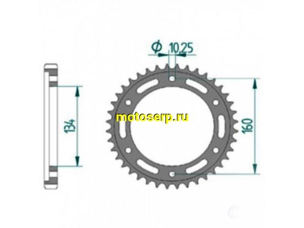Купить  Звезда ведомая JTR1306.41 (41зуб) JAPAN (шт) (0 купить с доставкой по Москве и России, цена, технические характеристики, комплектация фото  - motoserp.ru