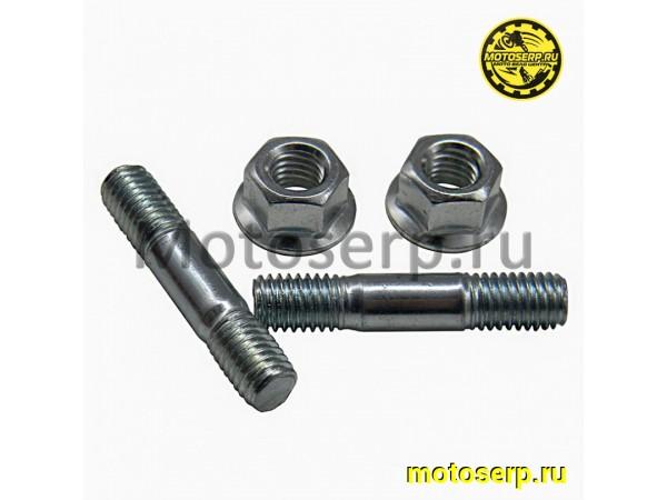 Купить  Шпильки шины для китайской бензопилы 8/42 mm.+ (гайки) 4500/5200 "BEEZMOTO" (пара) (MT G-2979 купить с доставкой по Москве и России, цена, технические характеристики, комплектация фото  - motoserp.ru