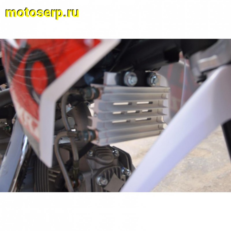 Купить  Питбайк KAYO CLASSIC YX140EM KRZ (спортинв), 17/14,  эл.стартер, (шт) (0 купить с доставкой по Москве и России, цена, технические характеристики, комплектация фото  - motoserp.ru