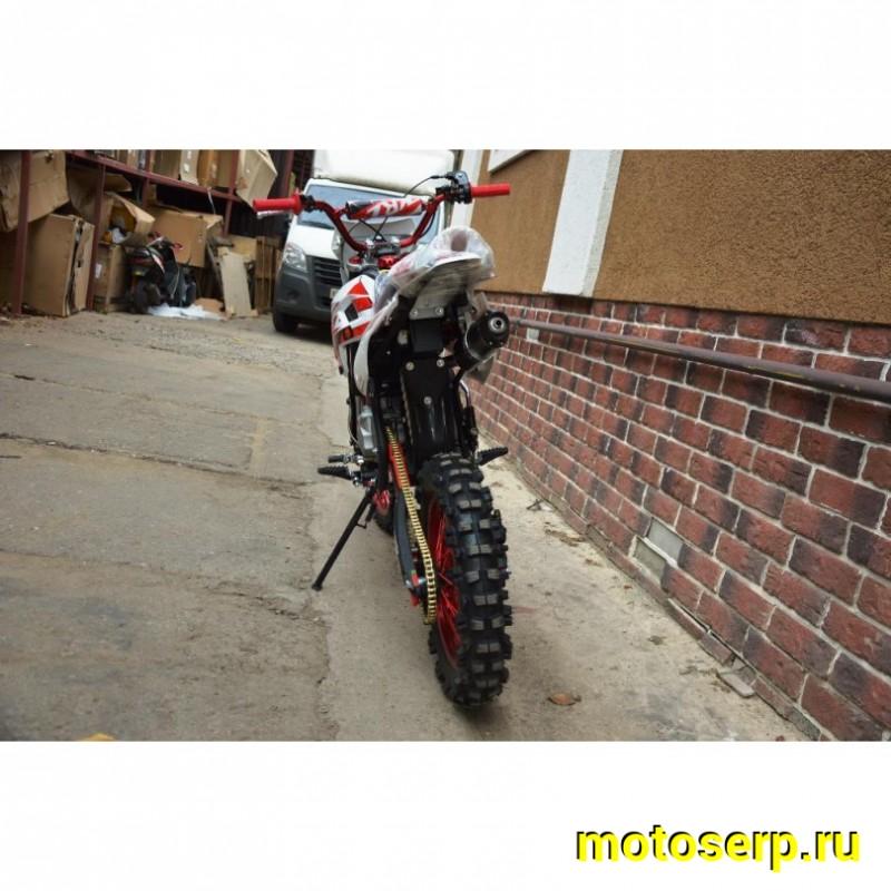 Купить  Питбайк KAYO CLASSIC YX140EM KRZ (спортинв), 17/14,  эл.стартер, (шт) (0 купить с доставкой по Москве и России, цена, технические характеристики, комплектация фото  - motoserp.ru