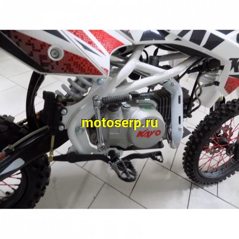 Купить  ====Питбайк KAYO BASIC YX 140 (спортинв), 17/14 , 4Т, возд. масл., карбюр.,диск./диск., (шт)  (SM купить с доставкой по Москве и России, цена, технические характеристики, комплектация фото  - motoserp.ru