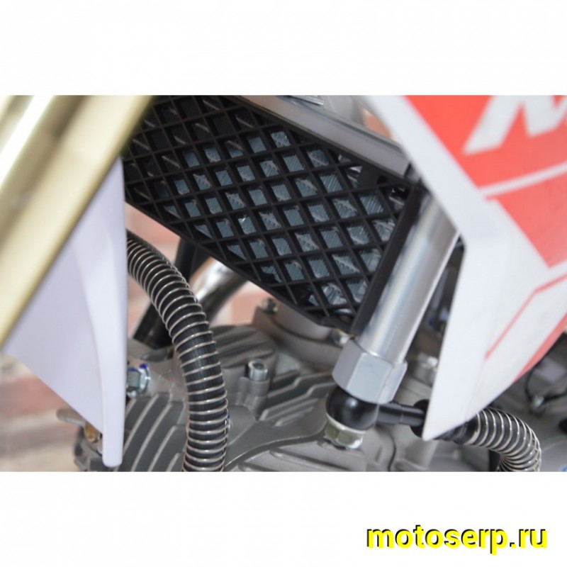 Купить  ====Питбайк KAYO EVOLUTION YX150 (спортинв), 17/14, 4Т, мех КПП, масл. охл., диск/диск. (шт) (SM купить с доставкой по Москве и России, цена, технические характеристики, комплектация фото  - motoserp.ru