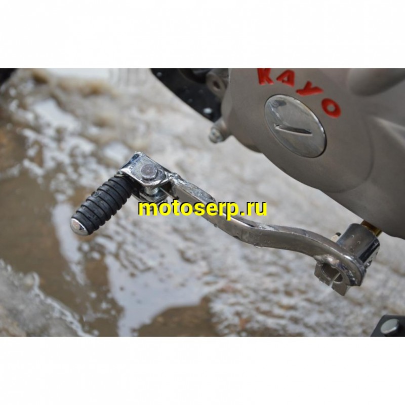Купить  ====Питбайк KAYO MINI LF110EA  (спортинв), 12/10, 4Т, эл-стартер, П/АВТОМАТ N-1-2-3-4,  возд. охлажд., диск/диск, (шт) (SM купить с доставкой по Москве и России, цена, технические характеристики, комплектация фото  - motoserp.ru