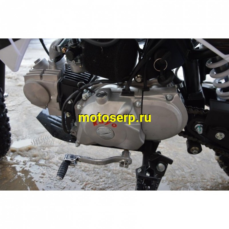 Купить  ====Питбайк KAYO MINI LF110EA  (спортинв), 12/10, 4Т, эл-стартер, П/АВТОМАТ N-1-2-3-4,  возд. охлажд., диск/диск, (шт) (SM купить с доставкой по Москве и России, цена, технические характеристики, комплектация фото  - motoserp.ru