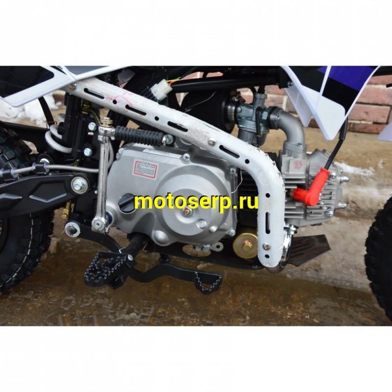 Купить  ====Питбайк KAYO MINI LF110EA  (спортинв), 12/10, 4Т, эл-стартер, П/АВТОМАТ N-1-2-3-4,  возд. охлажд., диск/диск, (шт) (SM купить с доставкой по Москве и России, цена, технические характеристики, комплектация фото  - motoserp.ru