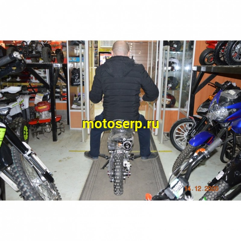 Купить  ====Питбайк PWR Racing FRZ 50 (спортинв), 10/10, 50сс, диск/диск (шт) (12940 купить с доставкой по Москве и России, цена, технические характеристики, комплектация фото  - motoserp.ru