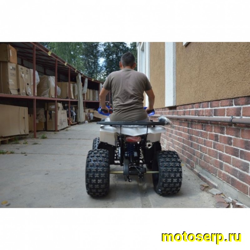 Купить  ====125cc Квадроцикл Avantis Classic 8 NEW  (Классик 8) (2023г) 125/50сс, утилит. детск 6-10 лет, 2х4, колеса 8", автомат,реверс, бараб./диск. (шт)  купить с доставкой по Москве и России, цена, технические характеристики, комплектация фото  - motoserp.ru