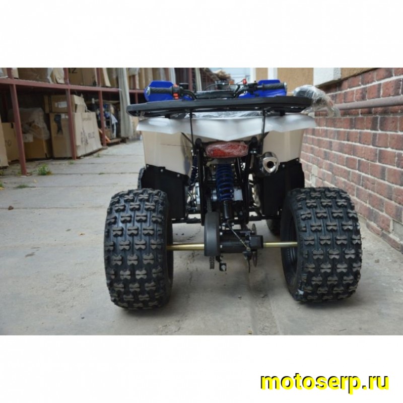 Купить  ====125cc Квадроцикл Avantis Classic 8 NEW  (Классик 8) (2023г) 125/50сс, утилит. детск 6-10 лет, 2х4, колеса 8", автомат,реверс, бараб./диск. (шт)  купить с доставкой по Москве и России, цена, технические характеристики, комплектация фото  - motoserp.ru