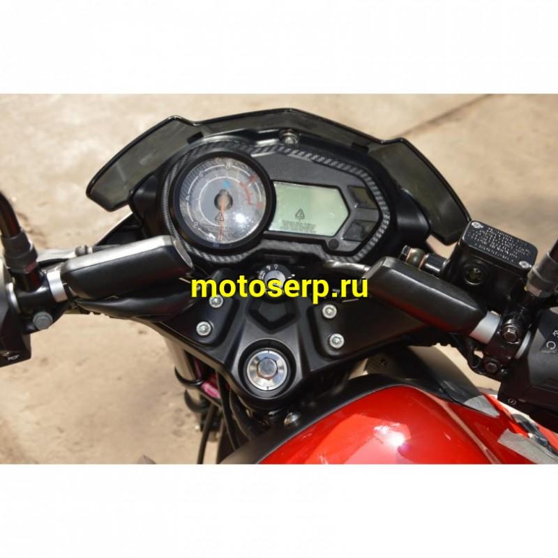 Купить  Мотоцикл BAJAJ Pulsar NS125 ( Баджаж Пульсар 125) 125сс,4-такт.,возд.охл.,карбюр.,кол.17"/17"(зал) (шт) купить с доставкой по Москве и России, цена, технические характеристики, комплектация фото  - motoserp.ru