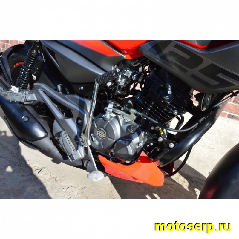 Купить  Мотоцикл BAJAJ Pulsar NS125 ( Баджаж Пульсар 125) 125сс,4-такт.,возд.охл.,карбюр.,кол.17"/17" (шт) купить с доставкой по Москве и России, цена, технические характеристики, комплектация фото  - motoserp.ru