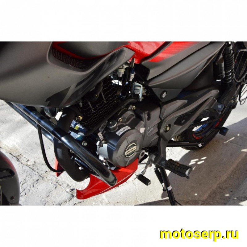 Купить  Мотоцикл BAJAJ Pulsar NS125 ( Баджаж Пульсар 125) 125сс,4-такт.,возд.охл.,карбюр.,кол.17"/17" (шт) купить с доставкой по Москве и России, цена, технические характеристики, комплектация фото  - motoserp.ru