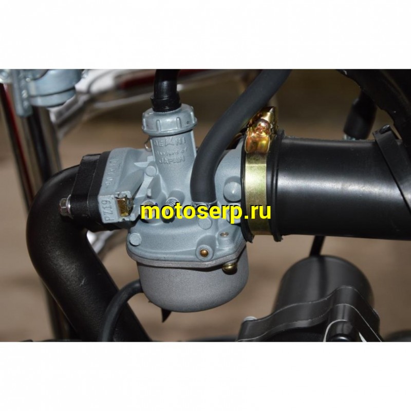 Купить  ====Мопед Motoland Альфа VR11 50/110 (+ЦПГ) (Альфа эр икс 50/110) 4Т; 50/110cc; колеса 17"литые; (Бер) (шт) (ML 13438 купить с доставкой по Москве и России, цена, технические характеристики, комплектация фото  - motoserp.ru