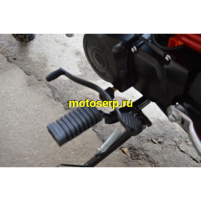 Купить  ====Мопед Motoland Альфа VR11 50/110 (+ЦПГ) (Альфа эр икс 50/110) 4Т; 50/110cc; колеса 17"литые; (Бер) (шт) (ML 13438 купить с доставкой по Москве и России, цена, технические характеристики, комплектация фото  - motoserp.ru