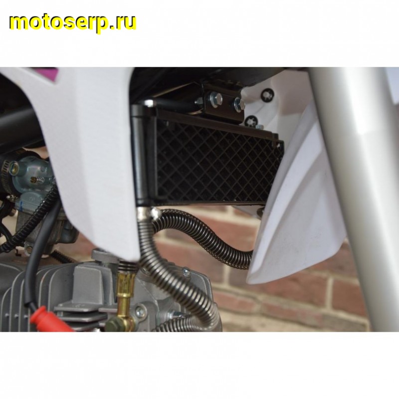 Купить  ====Питбайк WELS RT 140 (спортинв),17/14, 4Т, кикстартер, радиатор (Бер) (шт)  купить с доставкой по Москве и России, цена, технические характеристики, комплектация фото  - motoserp.ru