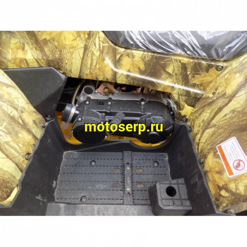 Купить  200cc Квадроцикл Motoland WILD TRACK 200 X 200сс, утилит., обновл. дизайн, ножн. диск тормоз, литые колеса 10",  (шт) (ML 14240 купить с доставкой по Москве и России, цена, технические характеристики, комплектация фото  - motoserp.ru