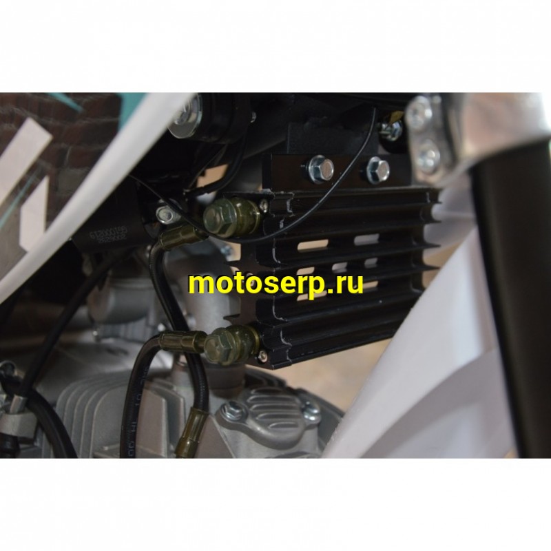 Купить  ====Питбайк Regulmoto SEVEN MEDALIST 17/14 (2021) (спортинв), 150сс, 4Т, эл/кикстартер, карб., маслян. охл. (шт) (0 купить с доставкой по Москве и России, цена, технические характеристики, комплектация фото  - motoserp.ru