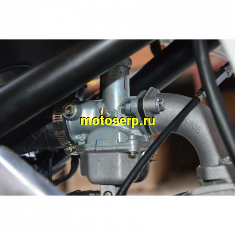 Купить  ====Питбайк WELS RT 125 (спортинв), 17/14, 4Т, 125сс (шт) купить с доставкой по Москве и России, цена, технические характеристики, комплектация фото  - motoserp.ru