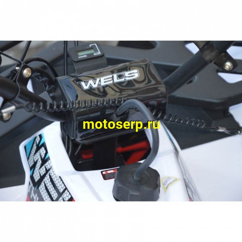 Купить  ====125cc Квадроцикл Wels THUNDER EVO 125 , 125сс, утилит. 9-12 лет, кол.8" штамп, автомат, реверс, сигнал с контр. тормоза Диск/диск, и пр. (шт) купить с доставкой по Москве и России, цена, технические характеристики, комплектация фото  - motoserp.ru