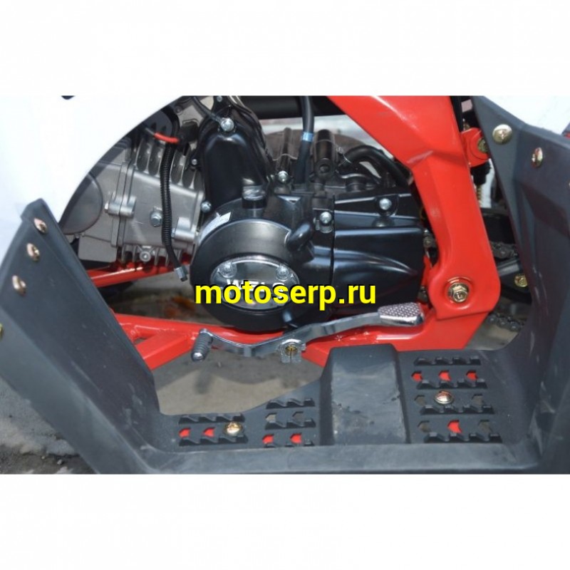 Купить  ====125cc Квадроцикл Wels THUNDER EVO 125 , 125сс, утилит. 9-12 лет, кол.8" штамп, автомат, реверс, сигнал с контр. тормоза Диск/диск, и пр. (шт) купить с доставкой по Москве и России, цена, технические характеристики, комплектация фото  - motoserp.ru