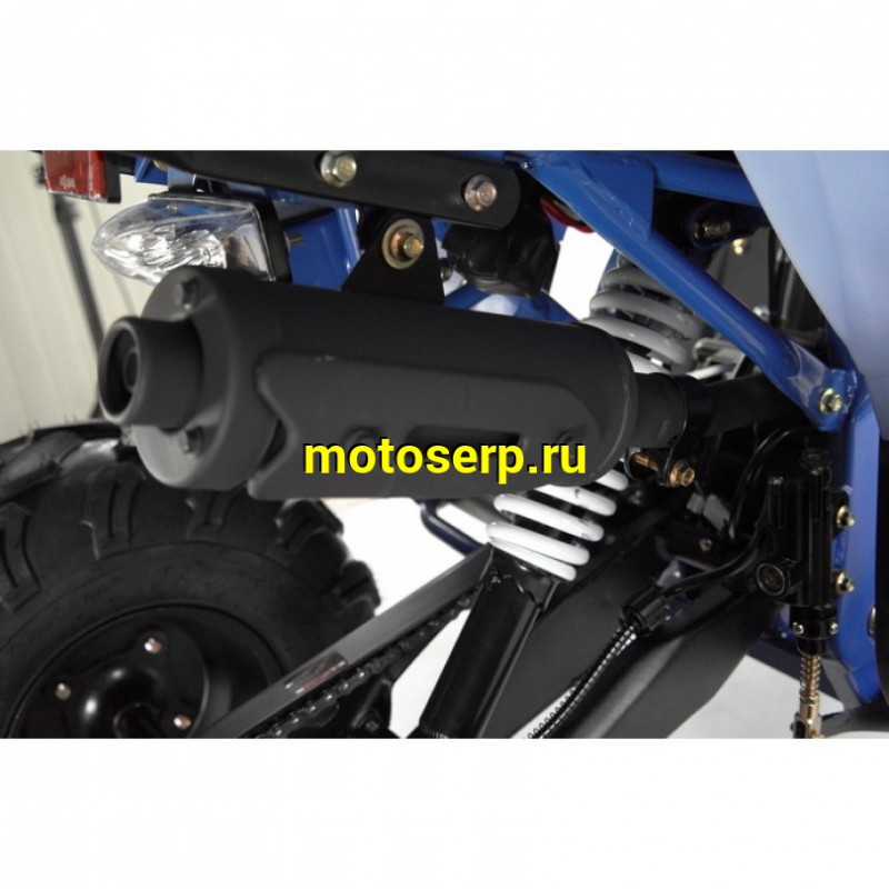 Купить  125cc Квадроцикл Wels THUNDER EVO 125 , 125сс, утилит. 9-12 лет, кол.8" штамп, автомат, реверс, сигнал с контр. тормоза Диск/диск, и пр. (шт) купить с доставкой по Москве и России, цена, технические характеристики, комплектация фото  - motoserp.ru