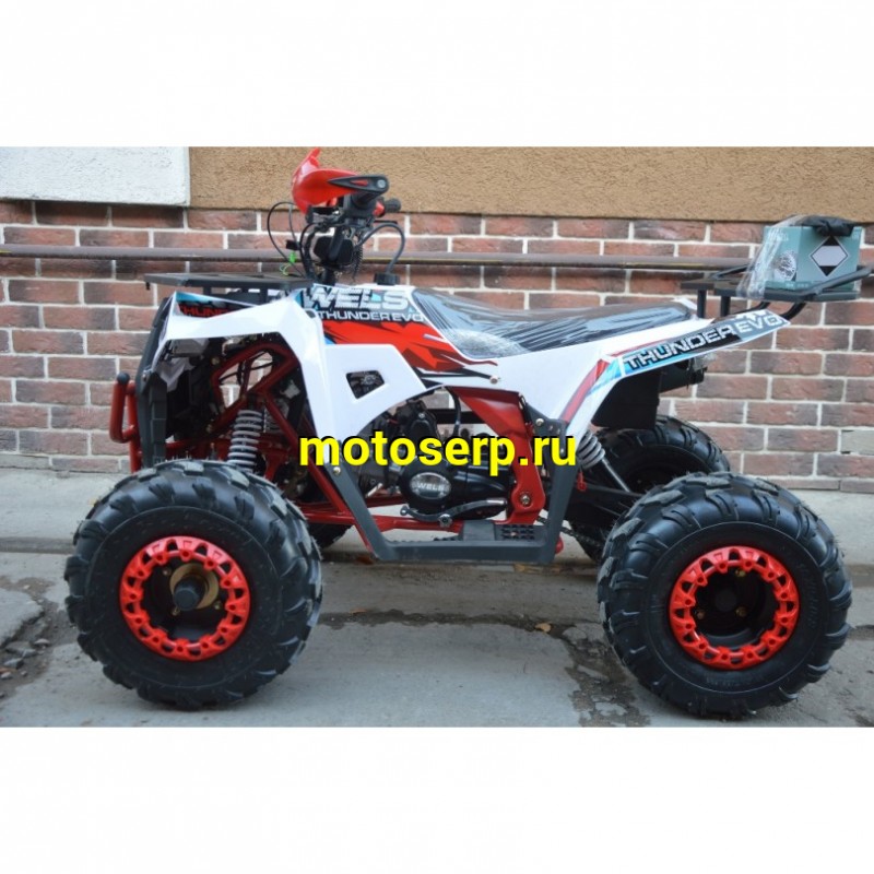 Купить  125cc Квадроцикл Wels THUNDER EVO 125 , 125сс, утилит. 9-12 лет, кол.8" штамп, автомат, реверс, сигнал с контр. тормоза Диск/диск, и пр. (шт) купить с доставкой по Москве и России, цена, технические характеристики, комплектация фото  - motoserp.ru