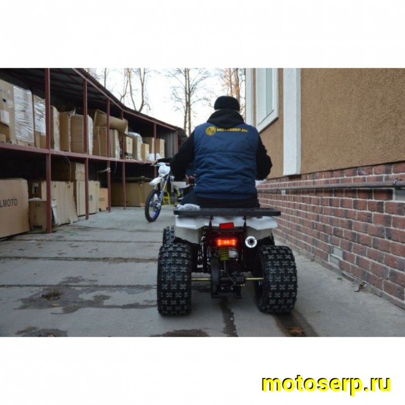 Купить  ====125cc Квадроцикл Motoland WILD-125 A 125сс, утилит, 2х4, колеса 8", автомат, реверс, тормоз диск/диск. выс по седлу 40см (шт) (ML 14308 купить с доставкой по Москве и России, цена, технические характеристики, комплектация фото  - motoserp.ru