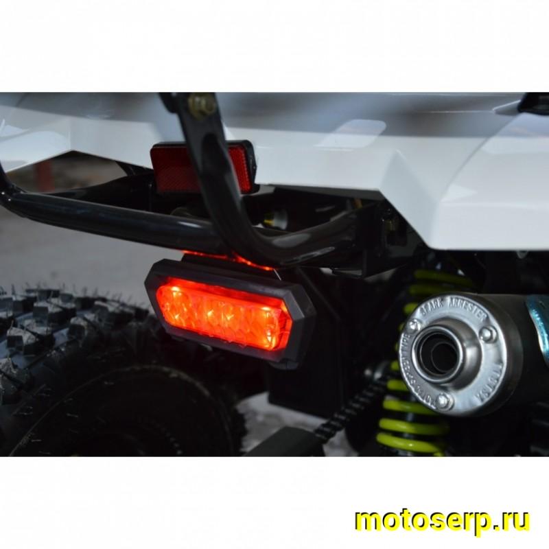 Купить  ====125cc Квадроцикл Motoland WILD-125 A 125сс, утилит, 2х4, колеса 8", автомат, реверс, тормоз диск/диск. выс по седлу 40см (шт) (ML 14308 купить с доставкой по Москве и России, цена, технические характеристики, комплектация фото  - motoserp.ru