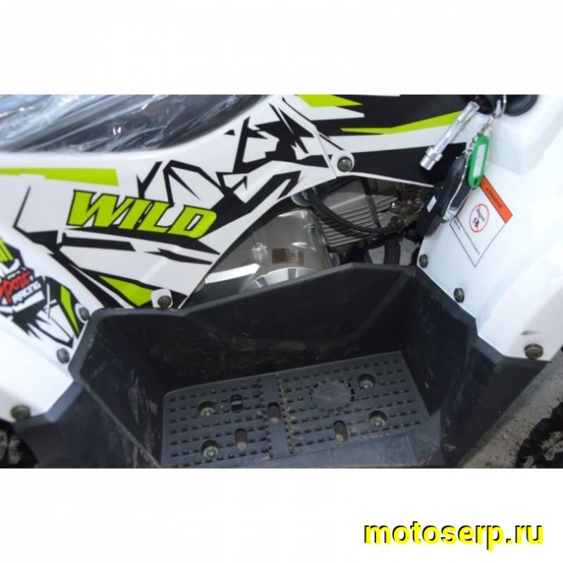 Купить  ====125cc Квадроцикл Motoland WILD-125 A 125сс, утилит, 2х4, колеса 8", автомат, реверс, тормоз диск/диск. выс по седлу 40см (шт) (ML 14308 купить с доставкой по Москве и России, цена, технические характеристики, комплектация фото  - motoserp.ru