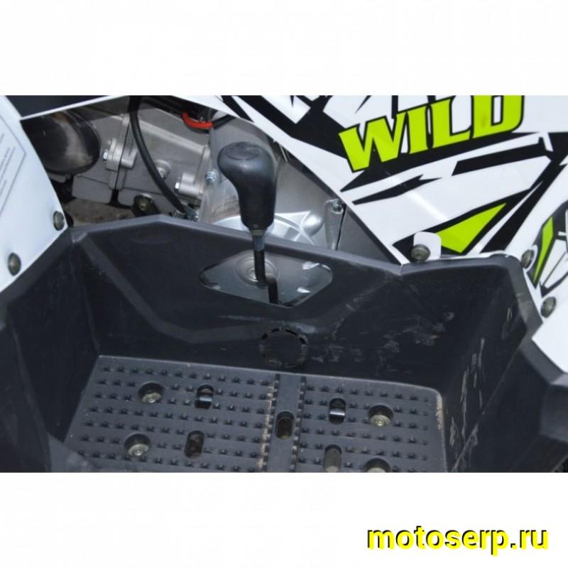 Купить  ====125cc Квадроцикл Motoland WILD-125 A 125сс, утилит, 2х4, колеса 8", автомат, реверс, тормоз диск/диск. выс по седлу 40см (шт) (ML 14308 купить с доставкой по Москве и России, цена, технические характеристики, комплектация фото  - motoserp.ru