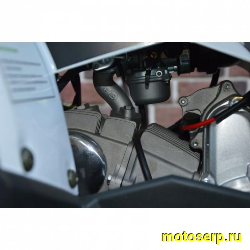 Купить  ====125cc Квадроцикл Motoland WILD-125 A 125сс, утилит, 2х4, колеса 8", автомат, реверс, тормоз диск/диск. выс по седлу 40см (шт) (ML 14308 купить с доставкой по Москве и России, цена, технические характеристики, комплектация фото  - motoserp.ru