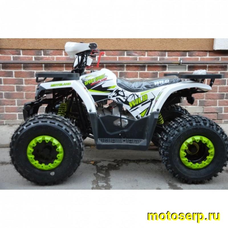Купить  ====125cc Квадроцикл Motoland WILD-125 A 125сс, утилит, 2х4, колеса 8", автомат, реверс, тормоз диск/диск. выс по седлу 40см (шт) (ML 14308 купить с доставкой по Москве и России, цена, технические характеристики, комплектация фото  - motoserp.ru