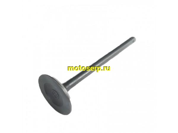 Купить  Клапан 161QMK (выпуск) (D-26,6mm, L-81mm, T-5mm)  (шт)  (AVANTIS 17335 купить с доставкой по Москве и России, цена, технические характеристики, комплектация фото  - motoserp.ru